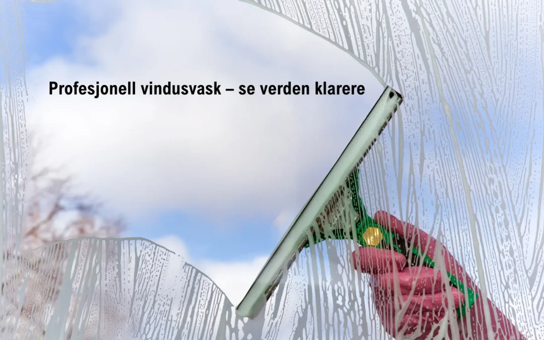 Profesjonell vindusvask – se verden klarere